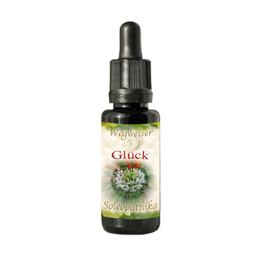 Lebensessenz Glück 10ml