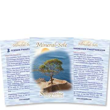 Kartenset Mineral-Sole