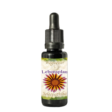 Lebensessenz Lebensplan 10ml