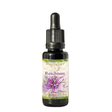 Lebensessenz Reichtum 10ml