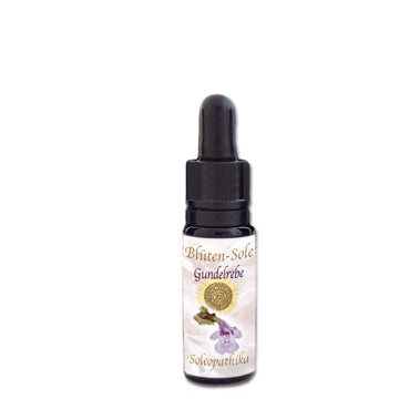 Blüten-Sole Gundelrebe 10ml