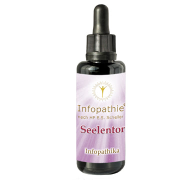Infopathikum Seelentor 50ml