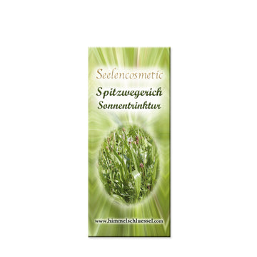 Spitzwegerich Sonnentrinktur 20ml