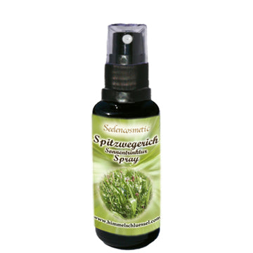 Spitzwegerich Spray 50ml