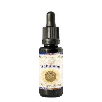 Lebensessenz Schulung 10 ml